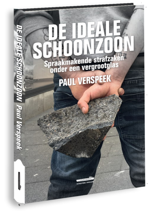 de ideale schoonzoon